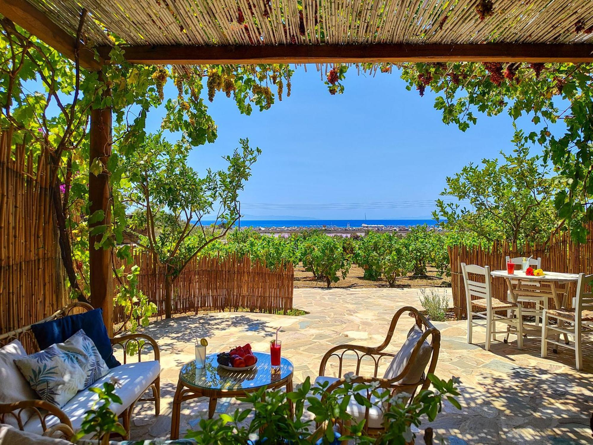 Kyma Apartments - Naxos Agios Prokopios Экстерьер фото
